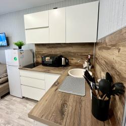 1-комнатные апартаменты студия