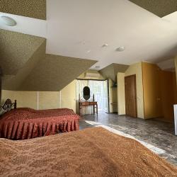 Фото Отель Лев