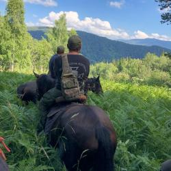 Фото Отель Золото Алтая