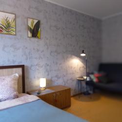 Фото Апартаменты на улице Чичерина