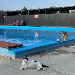 Фото Отель Персиковый Остров