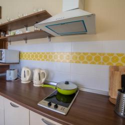 Фото Отель Теремок (Московский район)