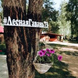 Фото Отель Лесная гавань