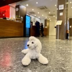 Cosmos Ekaterinburg Hotel (Космос Екатеринбург) (бывш. Park Inn by Radisson Ekaterinburg) — 09ae5c643590a450e2d2c594305b6ef7