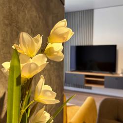 Фото Апартаменты на Спортивной улице 47