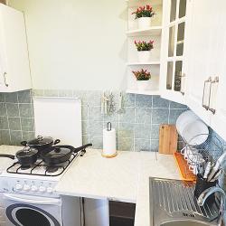 Фото Отель Просторная квартира рядом с Ижорским заводом