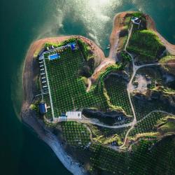 Фото Отель Персиковый Остров