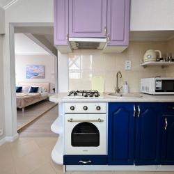 1-комнатные апартаменты улучшенные (мансарда)