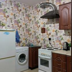 Фото Апартаменты на улице Мысникова 3