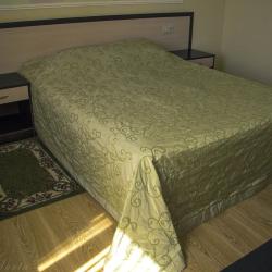 Фото Отель Старая мельница