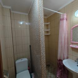 2-комнатные апартаменты улучшенные (мансарда) 492Л