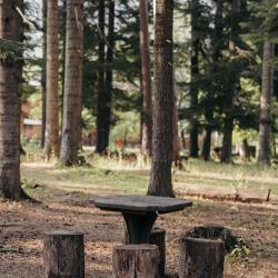 Фото Отель Хижина