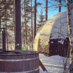 Коттедж премиум