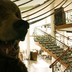 Фото Отель Александровская Слобода