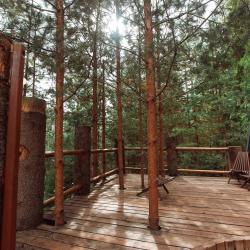 Фото Отель Хвойная хижина