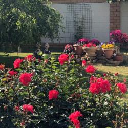 Фото Отель Тарасово хаус