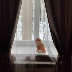 Фото Отель Кошкин Дом