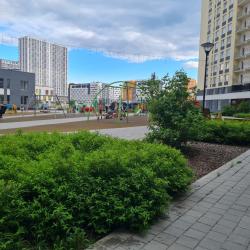 1-комнатные апартаменты студия