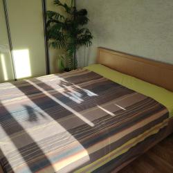 Фото Апартаменты на улице Брянская 11