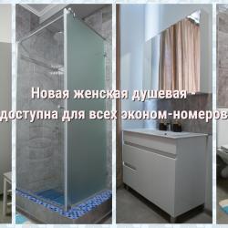Номер эконом с 1 двуспальной кроватью