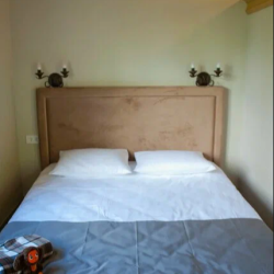 Фото Отель Plantage на Пионерской (Плантаж)