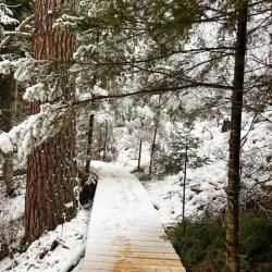 Фото Отель Телецкое Золотое