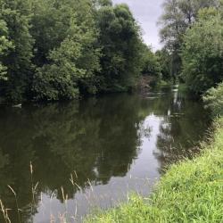 Фото Отель Белая Мельница