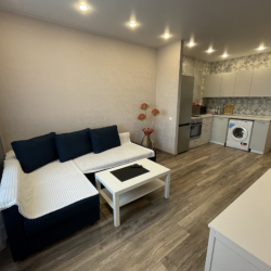 2-комнатные апартаменты стандарт Депутатская 55