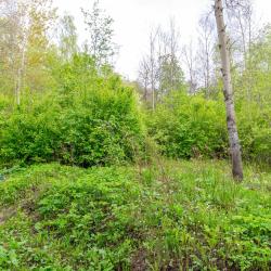 Фото Апартаменты на улице Мичурина 99а строение 2