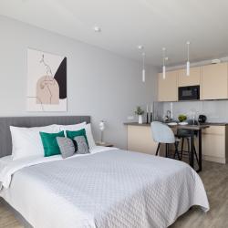 1-комнатные апартаменты студия RoomyRoom Ambassador