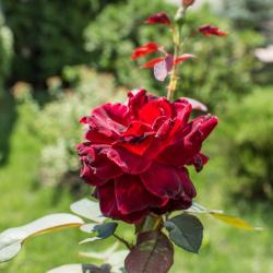 Фото Отель Голубое Озеро