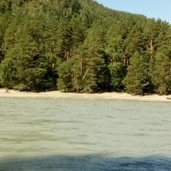 Фото Отель Феникс в Узнезе