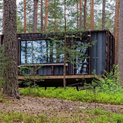 Фото Отель Радужный лес