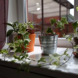 Фото Отель Юнинн Внуково