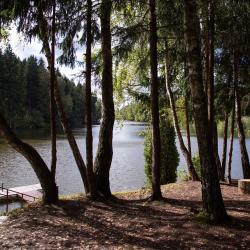 Фото Отель База Миг