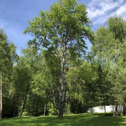 Фото Отель Зеленая горка