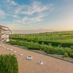 Фото Отель Tizdar Family Resort & Spa (Тиздар)