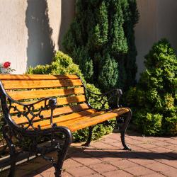 Фото Отель Лотос