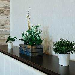 Фото Симбирские апартаменты на улице Рябикова 60А