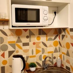 3-местные 1-комнатные апартаменты студия