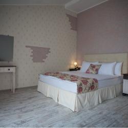 Номер полулюкс с 1 двуспальной кроватью