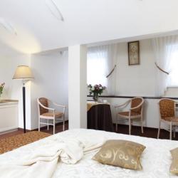 Номер студия с 1 двуспальной кроватью (с завтраком)