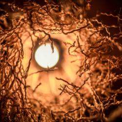 Коттедж Морской с 3 двуспальными кроватями