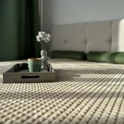 Фото Апартаменты на Каштановой улице 9