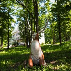Фото Парк-отель Дубрава