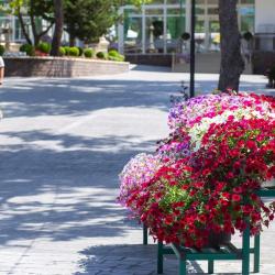 Фото Отель Талка Village (Вилладж)