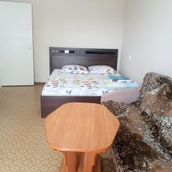 Фото Апартаменты Престиж на улице Чкалова 24