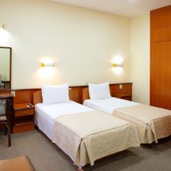 Номер делюкс с 2 односпальными кроватями