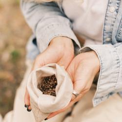 Фото Берель Парк-Отель
