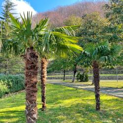 Фото Отель Сеть апартаментов Goodwill